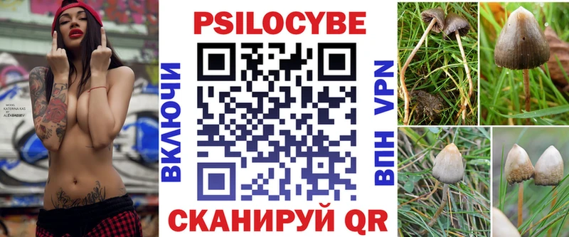 продажа наркотиков  Александровское  Псилоцибиновые грибы Psilocybe 