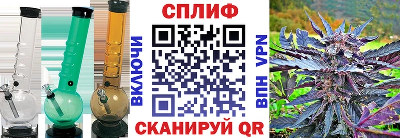 купить наркоту Александровское Канабис план